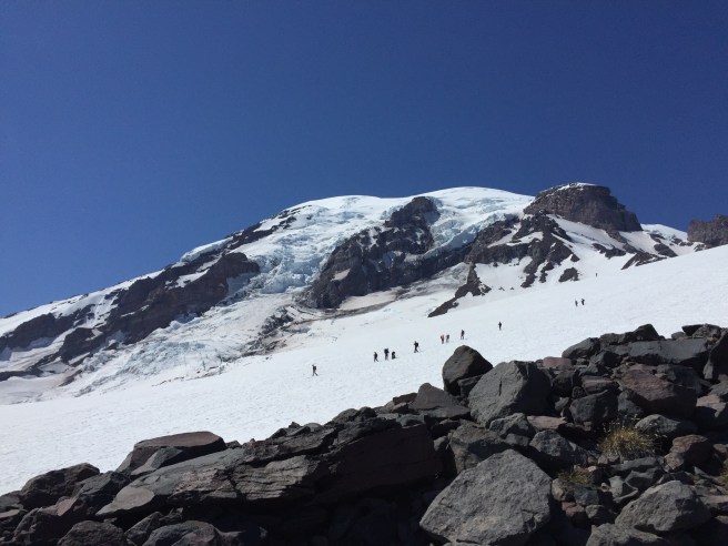 017ccc03f800dbb22ff0c5bd7660be5d3b3de98982